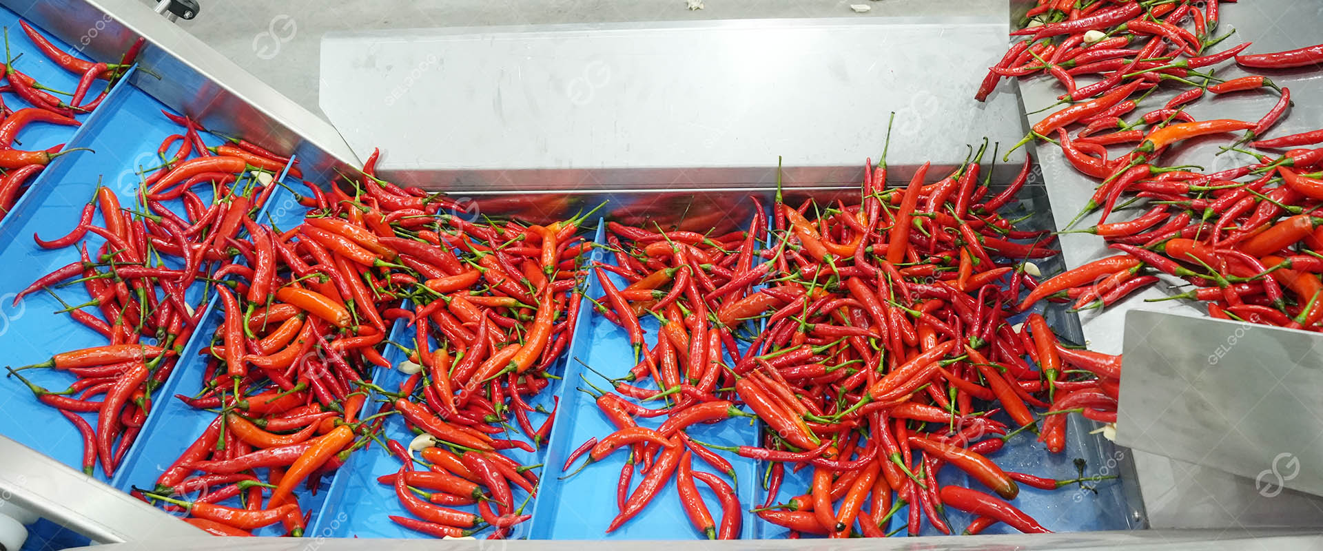 Hot Chili Pepper Sauce Production Line