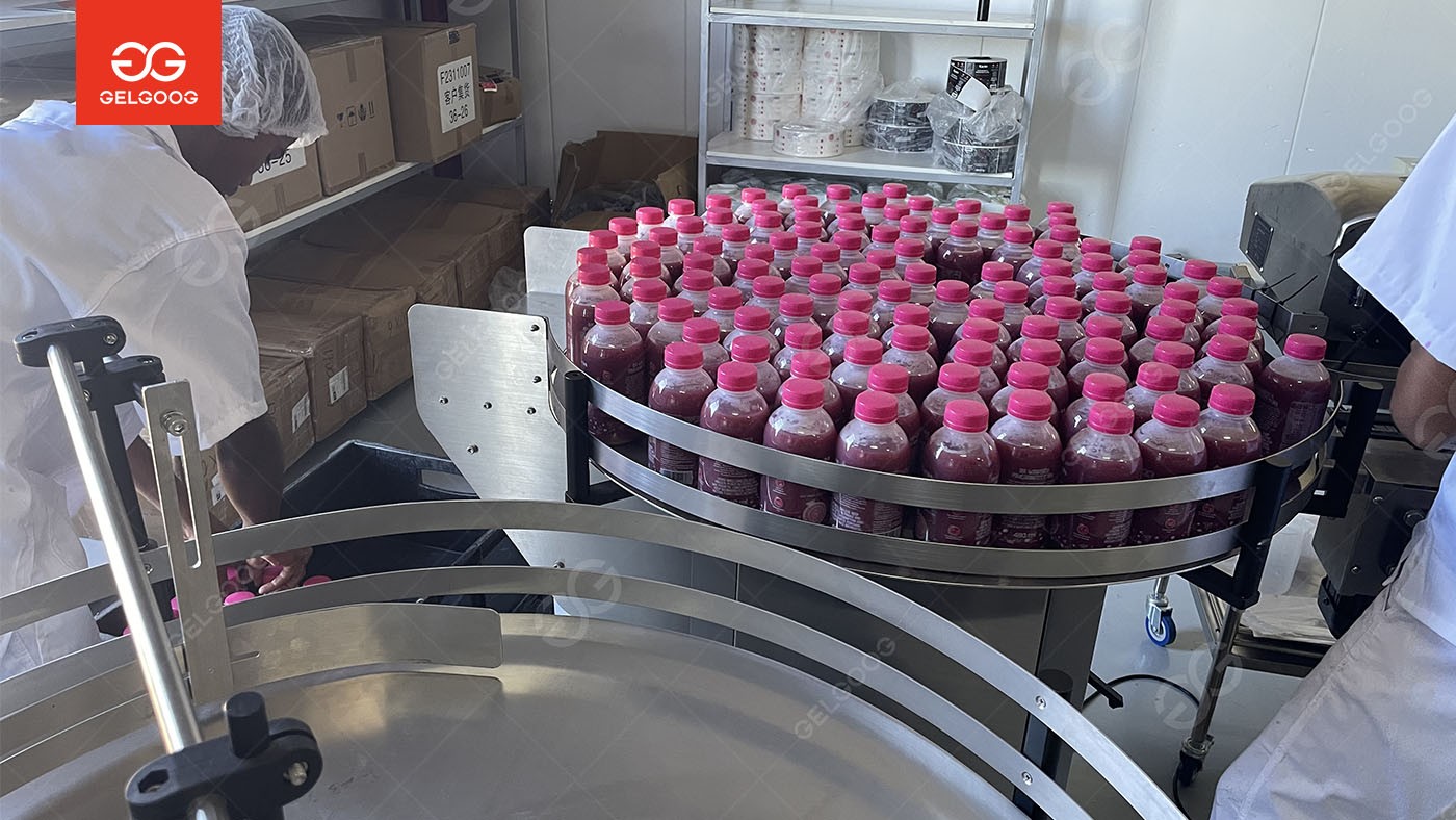 South Africa's 1TPH Concentrated Pomegranate Juice Production Line Successfully Put Into Production