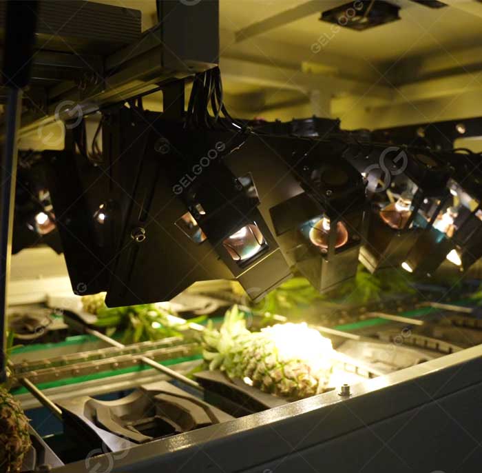Optical sorting