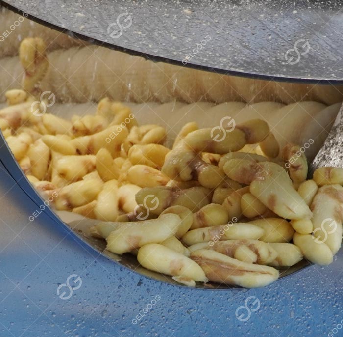 Ginger washing and peeling