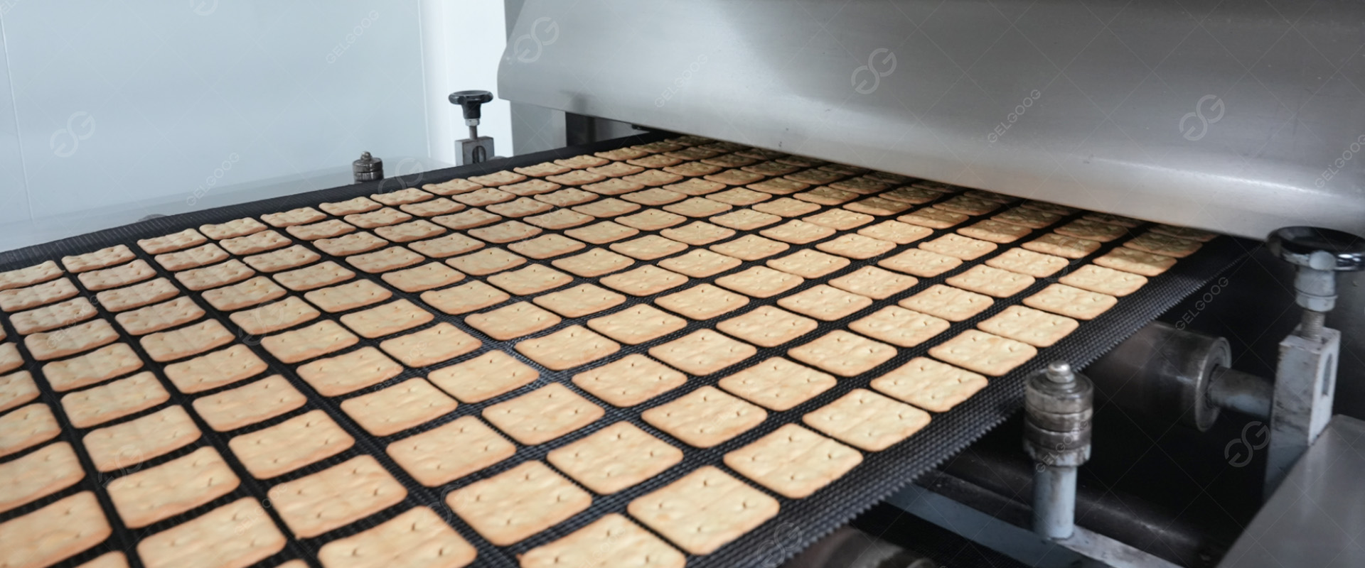 Solution de ligne automatique de production de biscuits