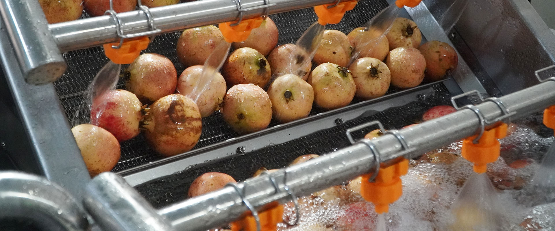 Automatic Pomegranate Processing Plant for Juice