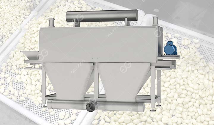 Machine entièrement automatique de séparation et de pelage de l’ail à vendre