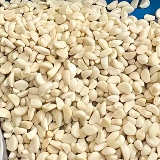 Fresh garlic cloves