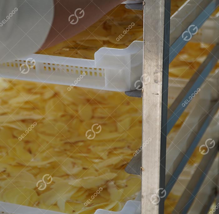 Ginger drying