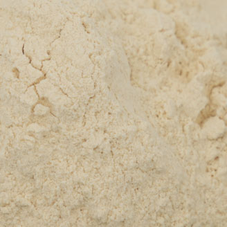 Garlic powder