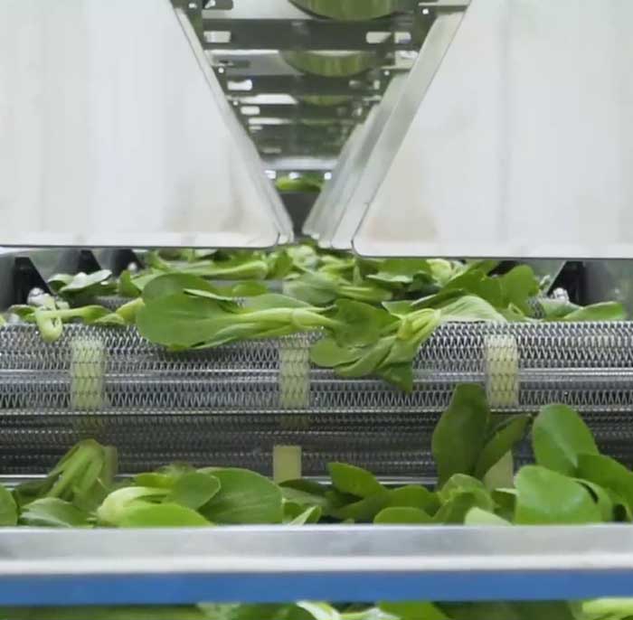 التجفيف