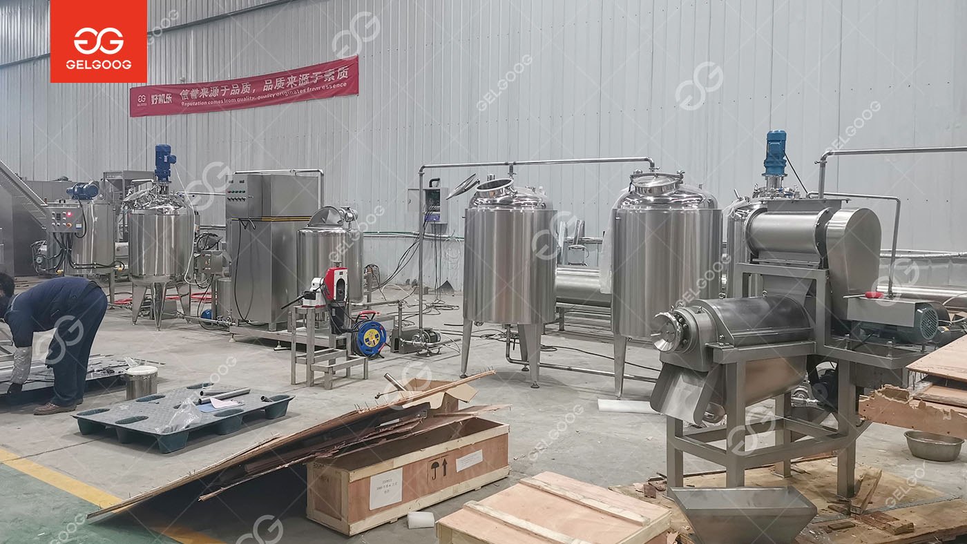 Small Scale Pineapple Juice Production Line Exported to Burundi | Affordable Solution for Tropical Juice Processing