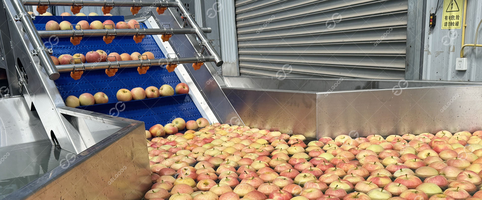 Fruit Washing Waxing Sorting Line Solution