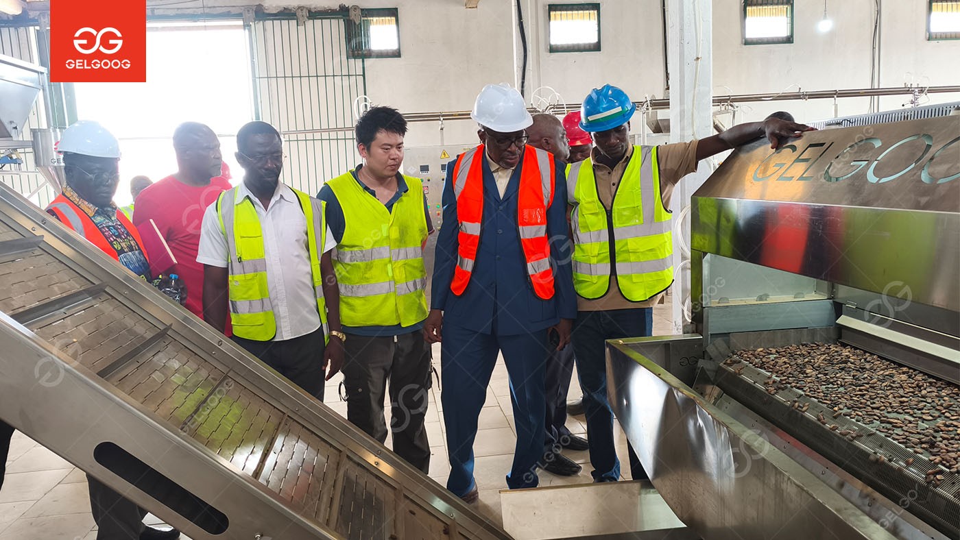 6 TPD Cocoa Processing Plant Successfully Installed in Cameroon