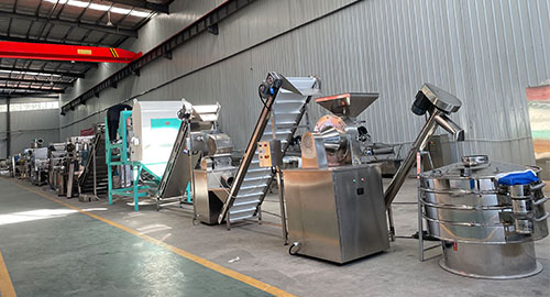 AGP Ordered Garlic Processing Line to Argentina