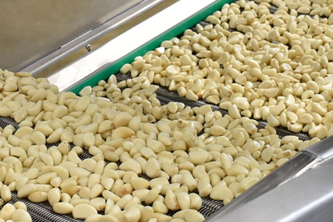 Fruit Vegetable Processing