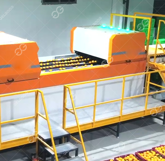 Intelligent Conveying & Automatic Sorting System