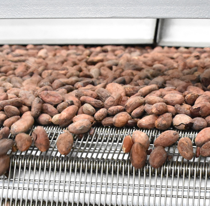 Cocoa Roasting