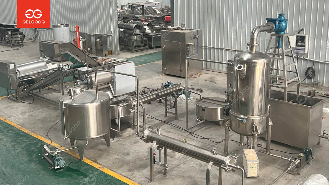 Saudi Arabia Pomegranate Juice Production Line Successfully Delivered