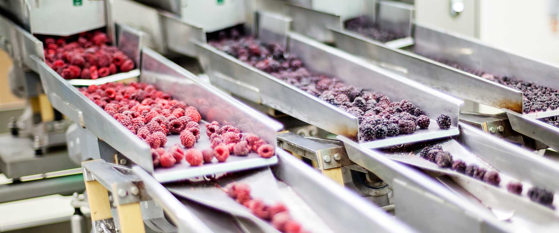 Frozen Fruit Processing Solution