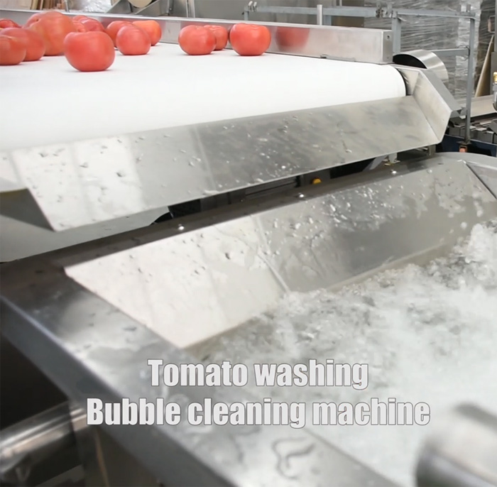 Tomato washing
