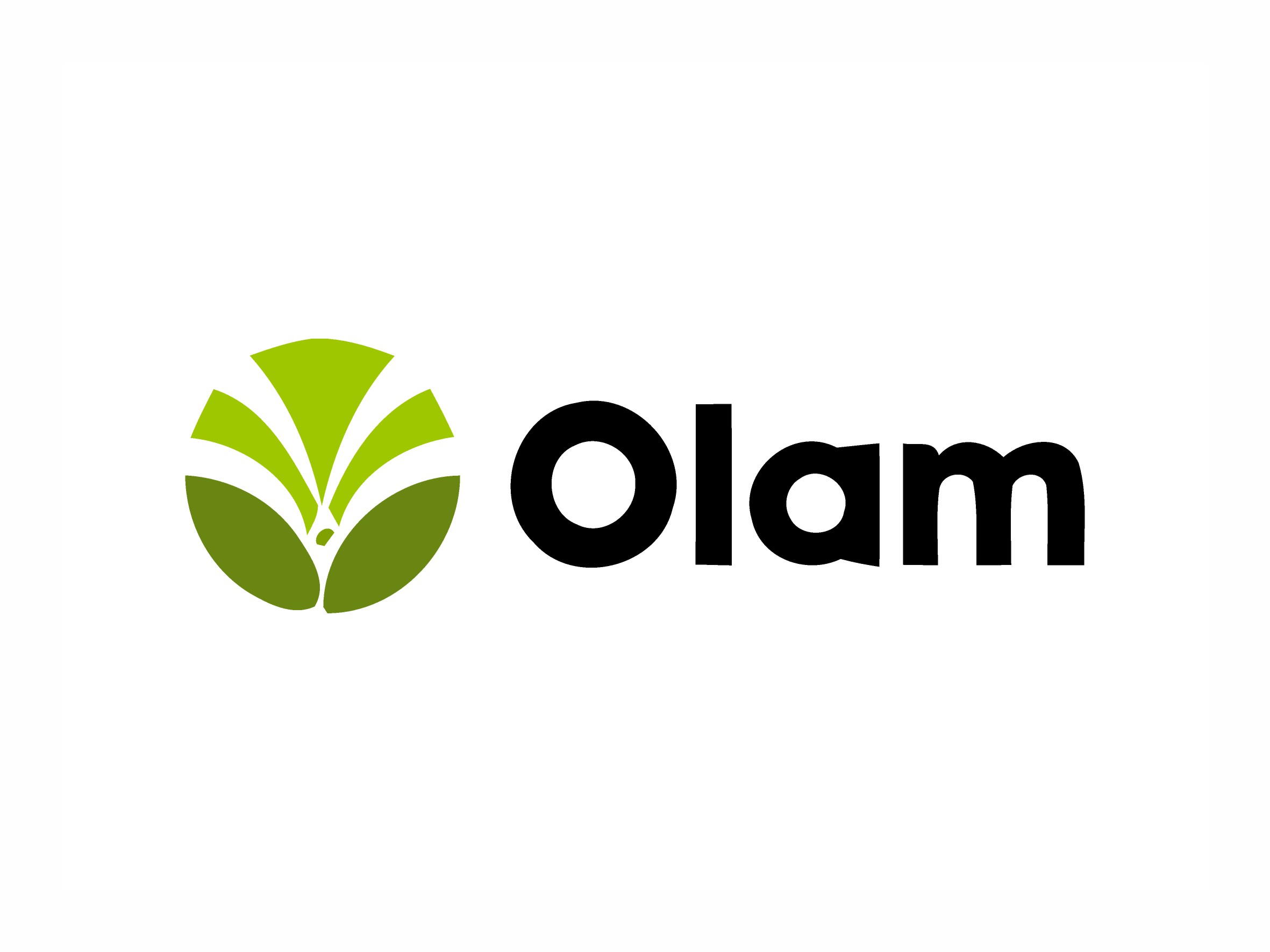 Olam