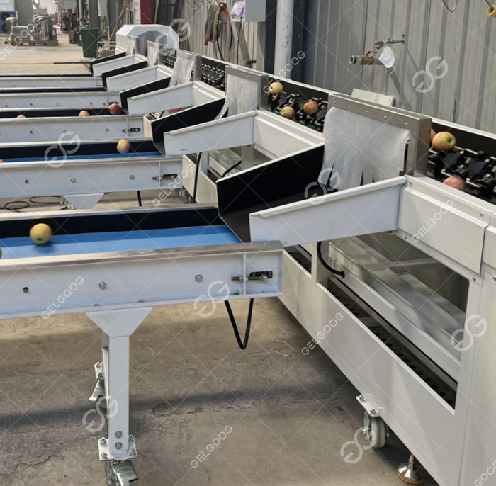 Apple sorting