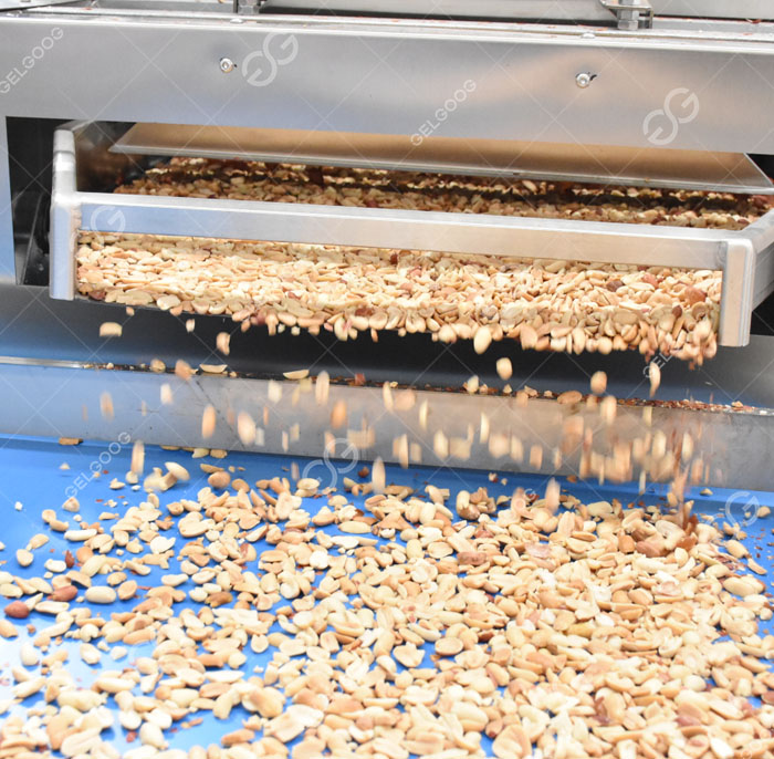 Bean Washing, Soaking & Peeling Equipment
