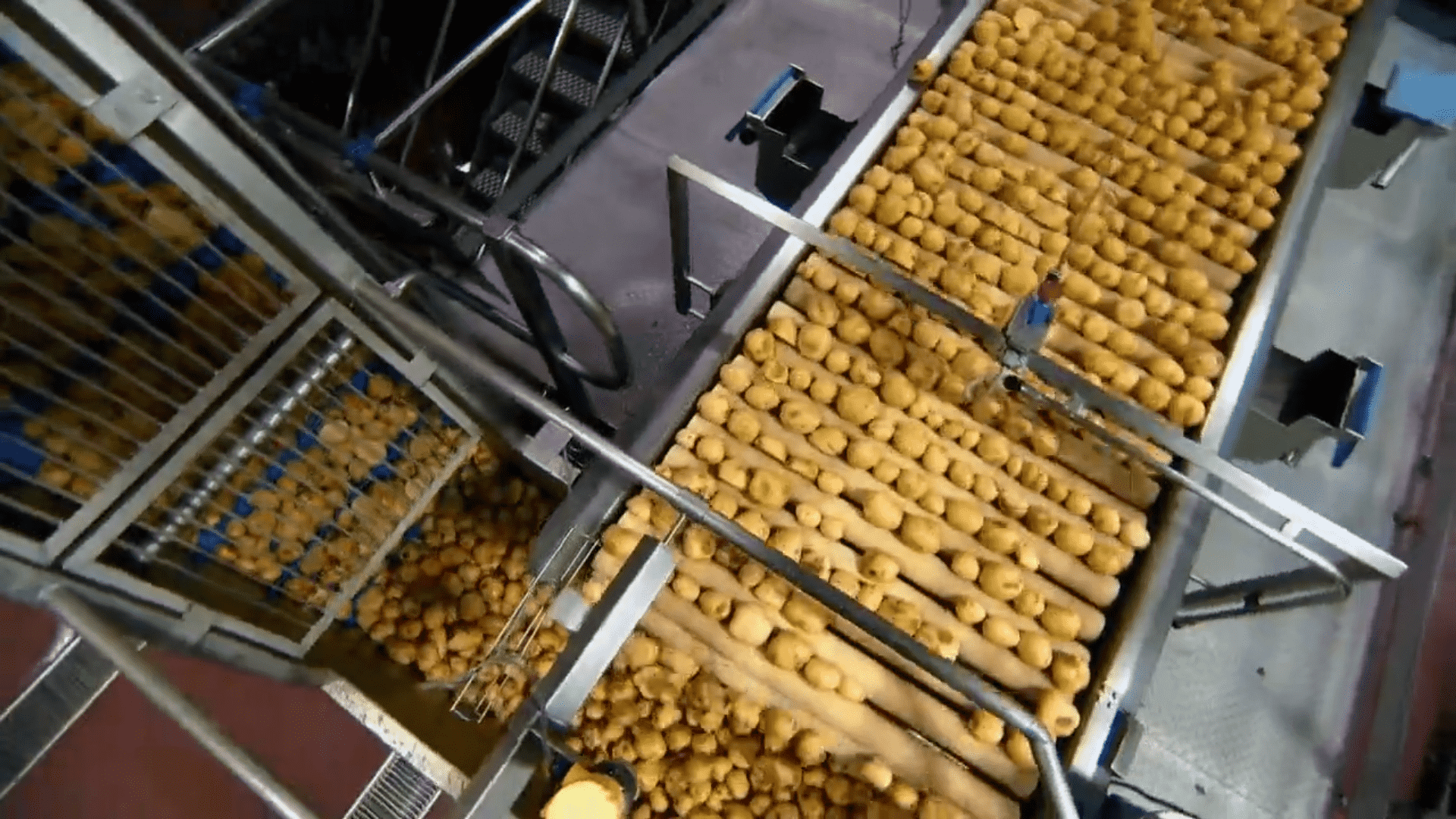 Potato washing and peeling